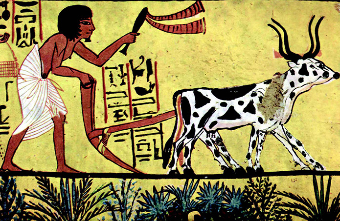Farming