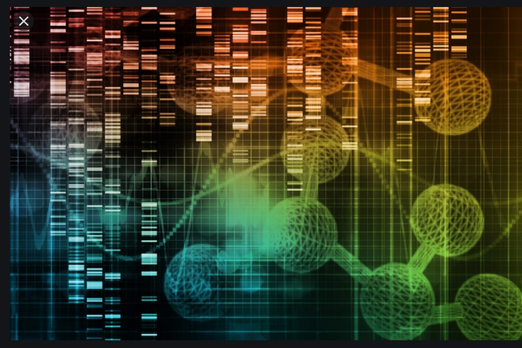 Mutation War