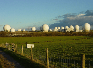 signal int