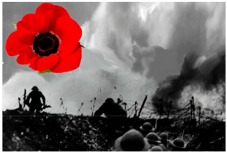 WW1 and The Poppy